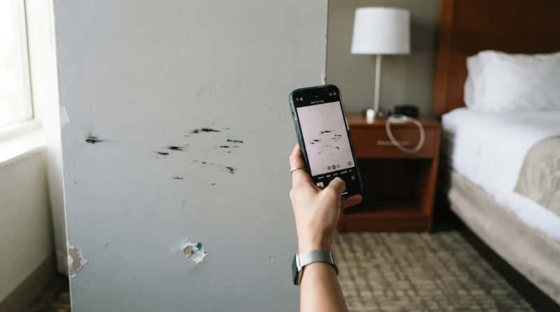 3. They Photograph Every Scuff and Stain Within Two Minutes (Image Credits: Gemini)