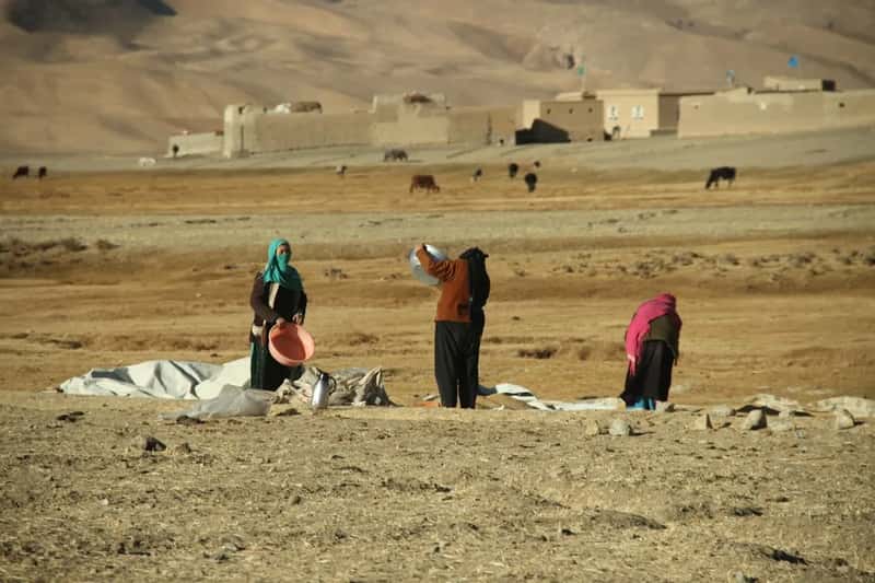 Afghanistan: the steepest decline on record (Image Credits: Unsplash)
