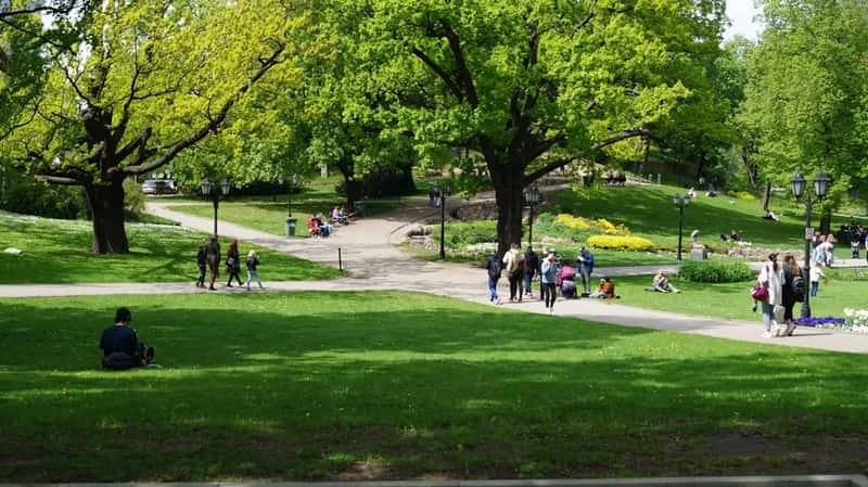 Summer in the marquee parks: the busy season nobody can dodge (Image Credits: Unsplash)
