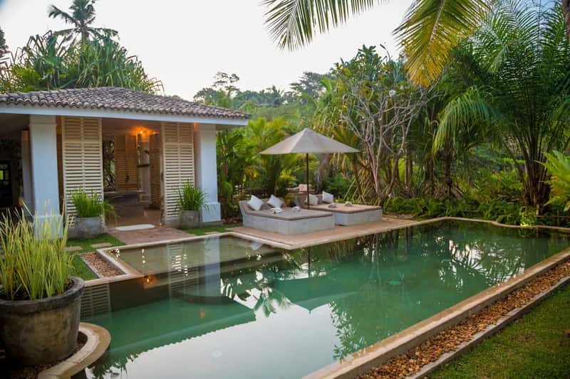 2. Sri Lanka (Image Credits: Unsplash)