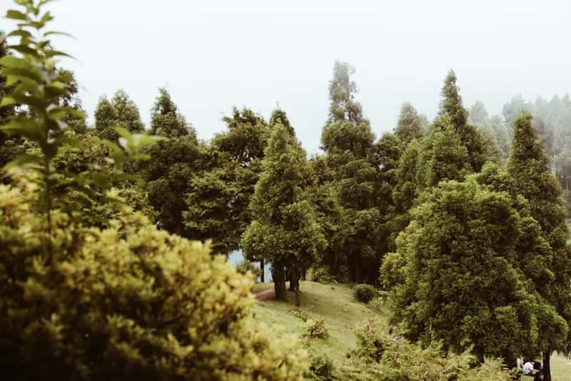 Nature-first getaways are pulling Americans outdoors (Image Credits: Unsplash)