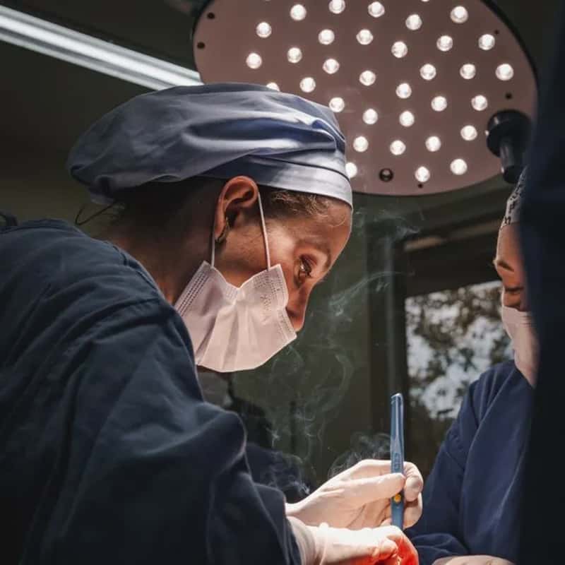 Brazil: universal care written into the constitution (Image Credits: Pexels)