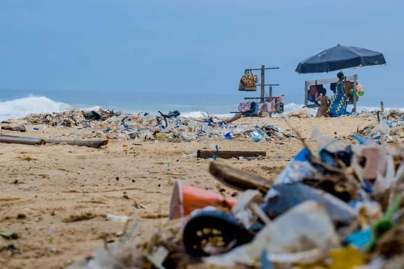 The Environmental Toll Is Becoming Irreversible (Image Credits: Pexels)