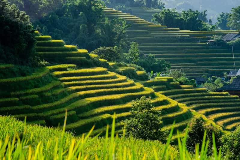 Vietnam's Sapa: Asia's Off-Radar Sensation (Image Credits: Unsplash)