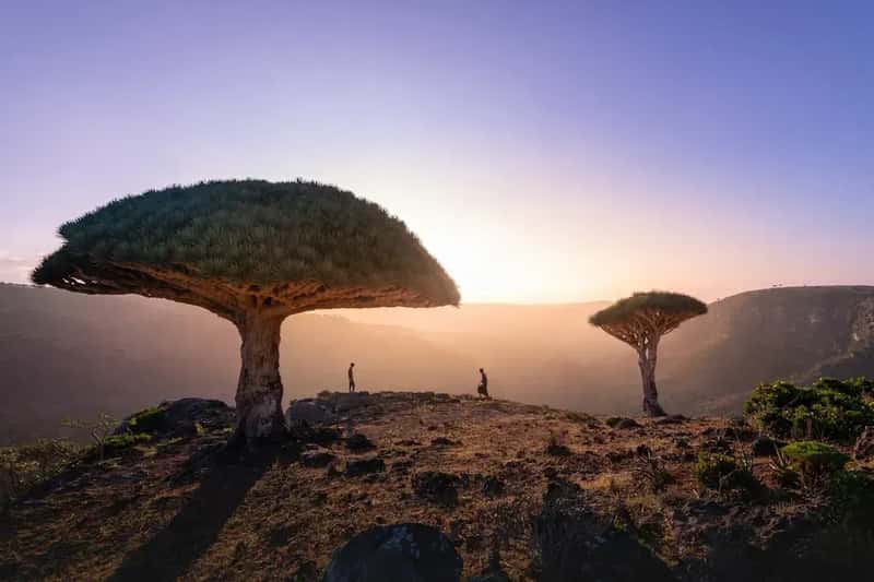 6. Yemen: War Without End (Image Credits: Unsplash)