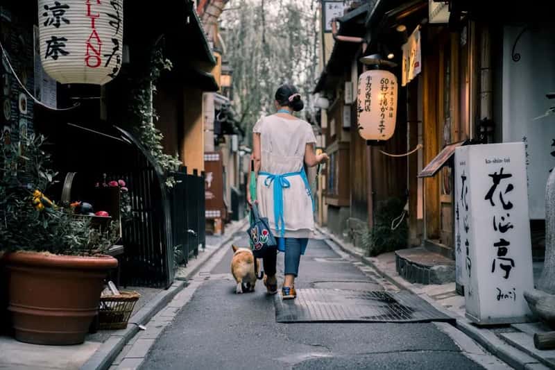6. Japan (Image Credits: Pexels)