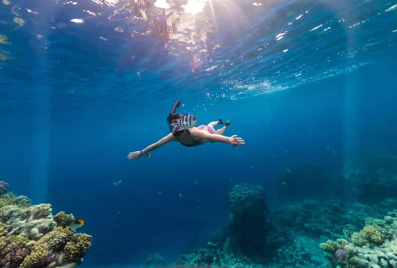Activities and Marine Life at Both Destinations (Image Credits: Shutterstock)