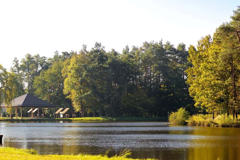 4. Minnesota's "Going to the Lake" Cabin Culture (Image Credits: Pexels)