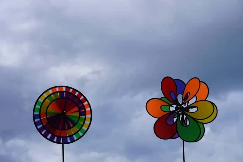 #12 - Wind Is the Silent Reason Hummingbirds Skip Your Yard (Image Credits: Pexels)