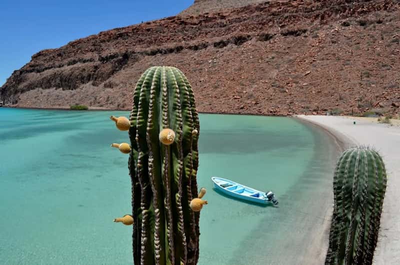 Baja California's smaller beach towns offer a different rhythm (Image Credits: Unsplash)