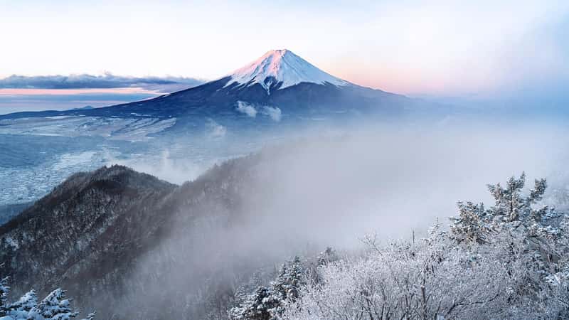 Japan's Heritage Site Protection Measures (Image Credits: Pixabay)