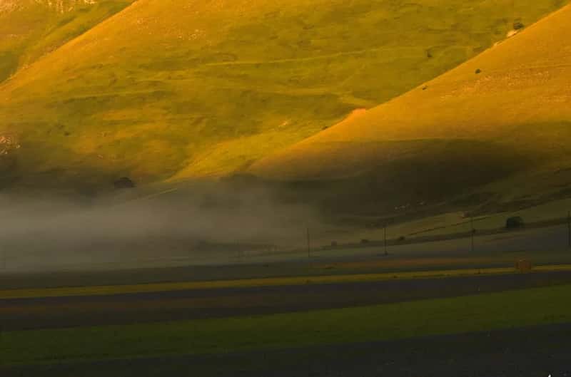 6. Valley Fever, a health risk few people research beforehand (Image Credits: Unsplash)