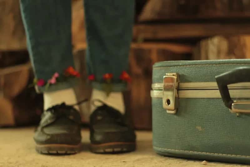 #10 - Master the Shoe Limit: Three Pairs Maximum (Image Credits: Pexels)