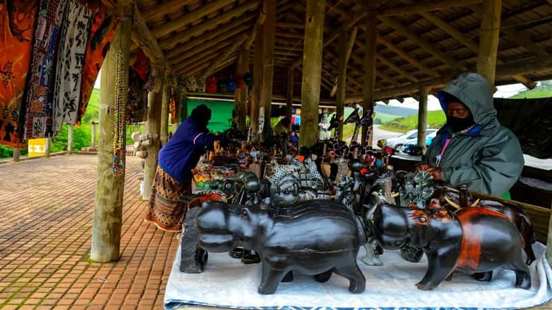 The Wildlife Souvenir Crackdown (Image Credits: Unsplash)