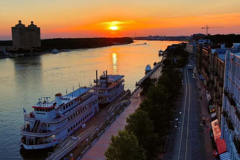 Conclusion: Why Savannah Captures Hearts (Image Credits: Pixabay)