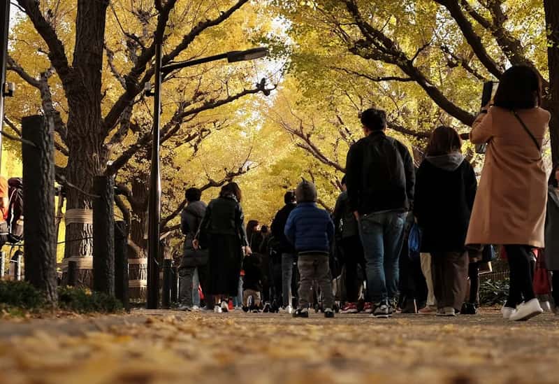 Spring and fall shoulder seasons are quietly getting crowded too (Image Credits: Unsplash)