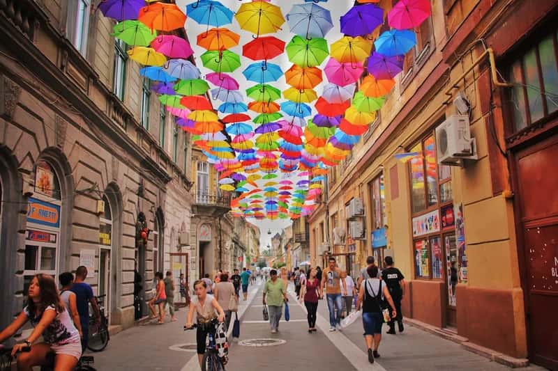 4. Authentic local culture and experiences (Image Credits: Unsplash)