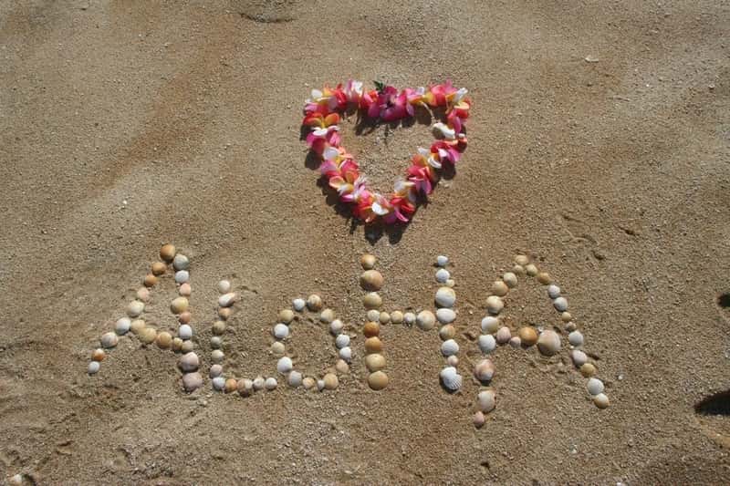 12. Skip the temptation to pocket lava rock or sand (Image Credits: Rawpixel)