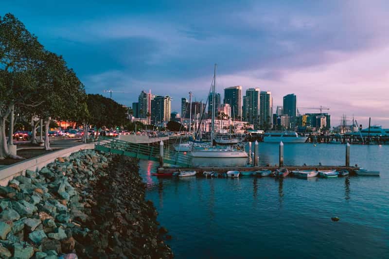 What Other Cities Can Learn (Image Credits: Pexels)