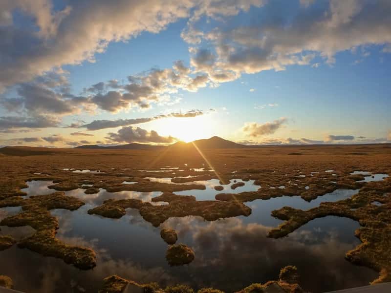 Flow Country, Scotland, United Kingdom (Image Credits: Unsplash)