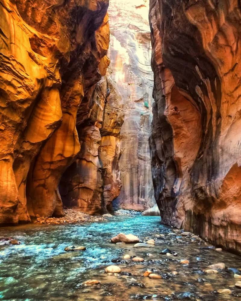 3. Zion National Park (Image Credits: Unsplash)