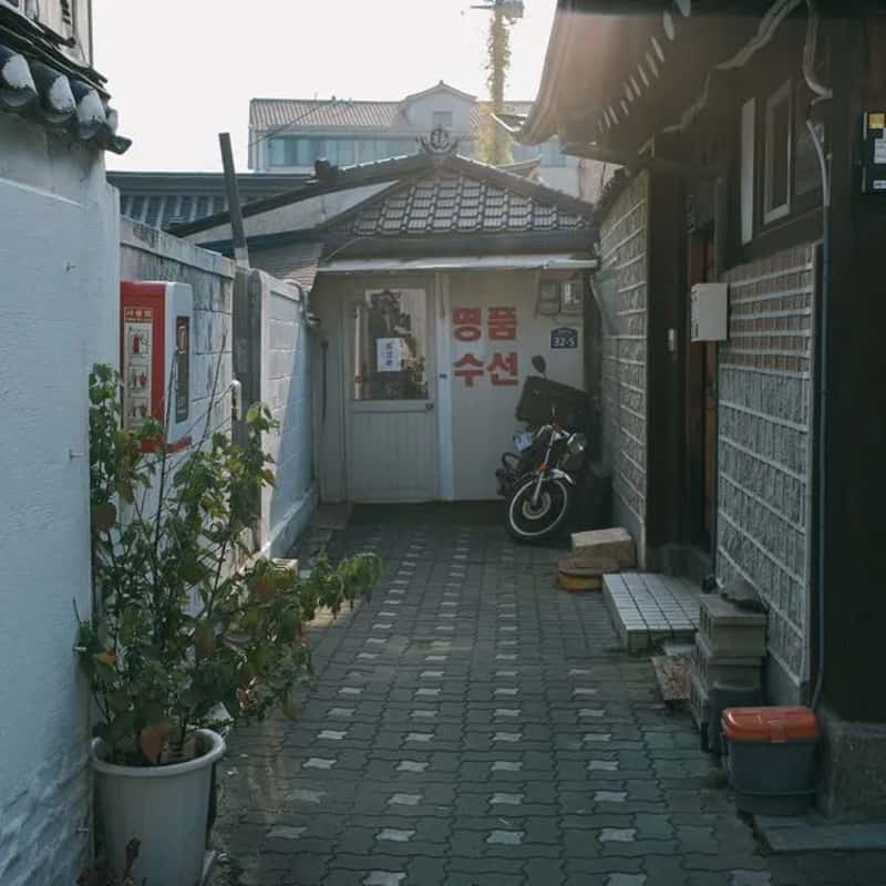Wait to Be Shown Where to Go (Image Credits: Pexels)