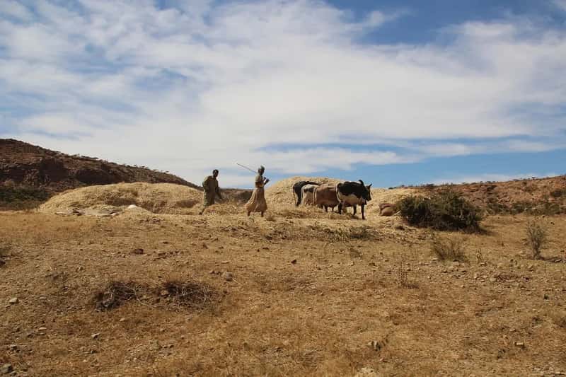 1. Eritrea: The Forgotten Dictatorship (Image Credits: Pixabay)