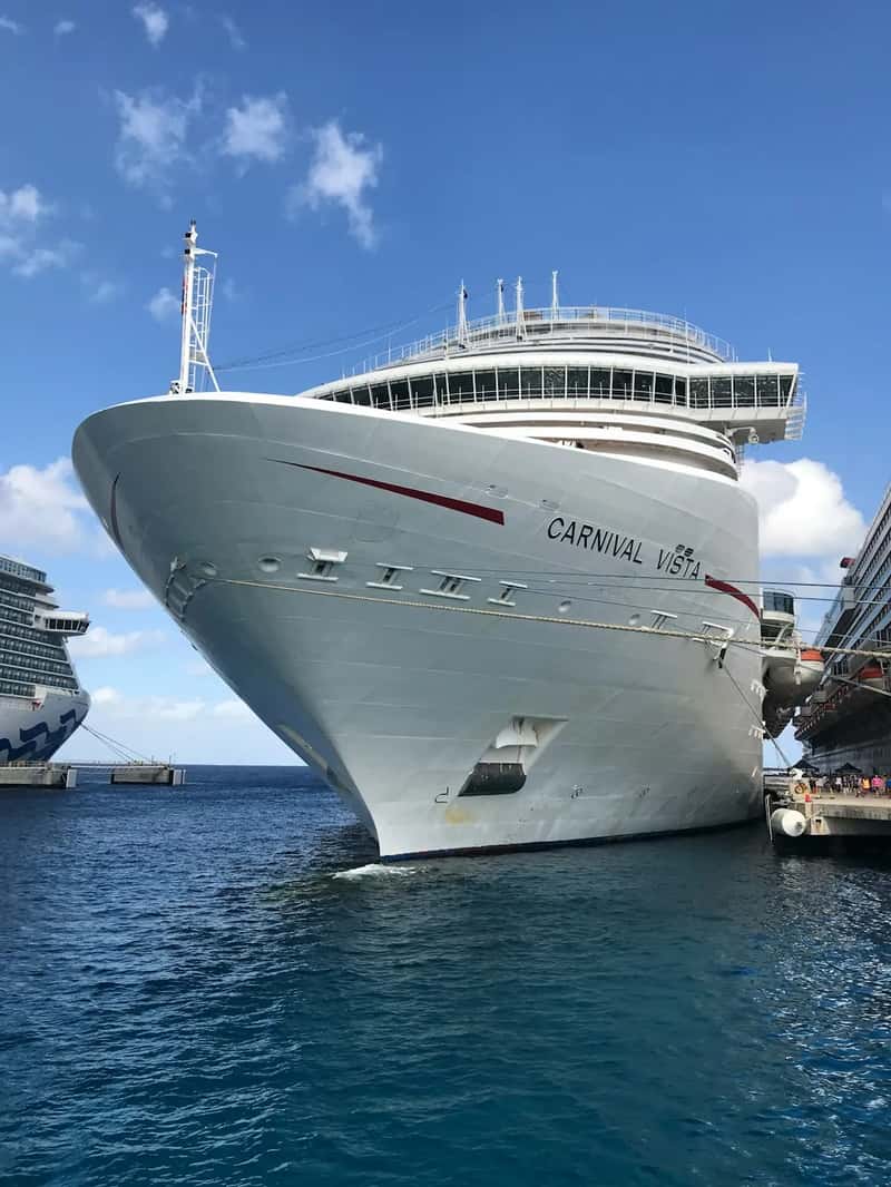 3. Who Got Sick: Eight Passengers and Five Crew Members (Image Credits: Unsplash)