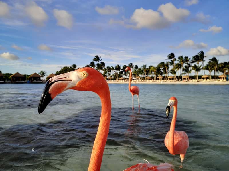 Aruba: The Reliable Paradise (Image Credits: Unsplash)