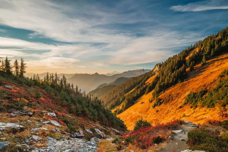 7. North Cascades National Park, Washington (Image Credits: Unsplash)
