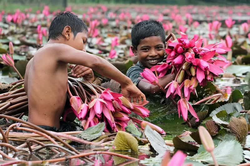 Bangladesh: Arsenic Contamination and Public Health Crisis (Image Credits: Pixabay)