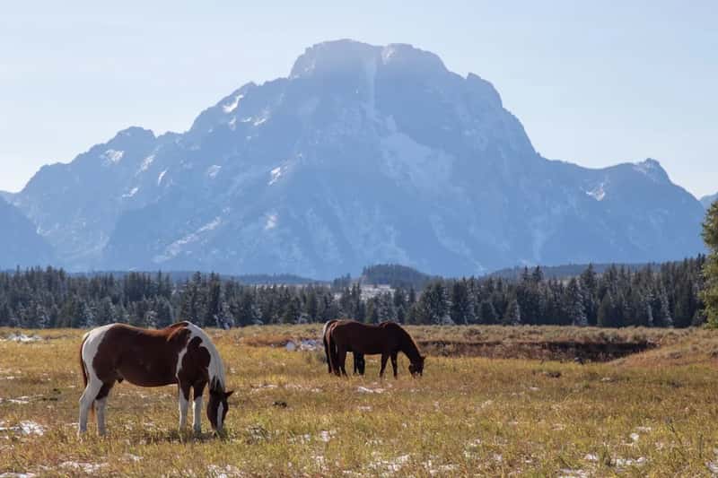 Wyoming is the domestic surprise nobody saw coming (Image Credits: Unsplash)
