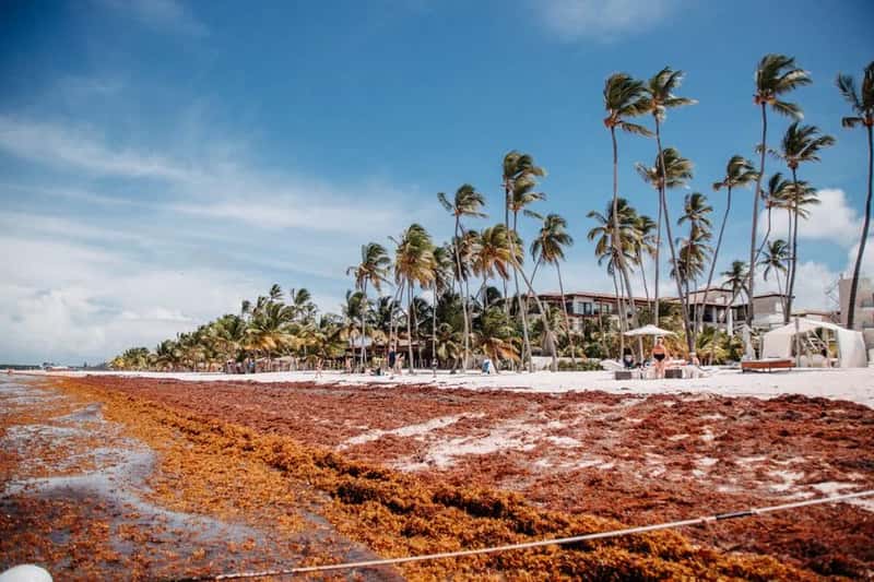 Playa del Carmen, Mexico (Image Credits: Pexels)