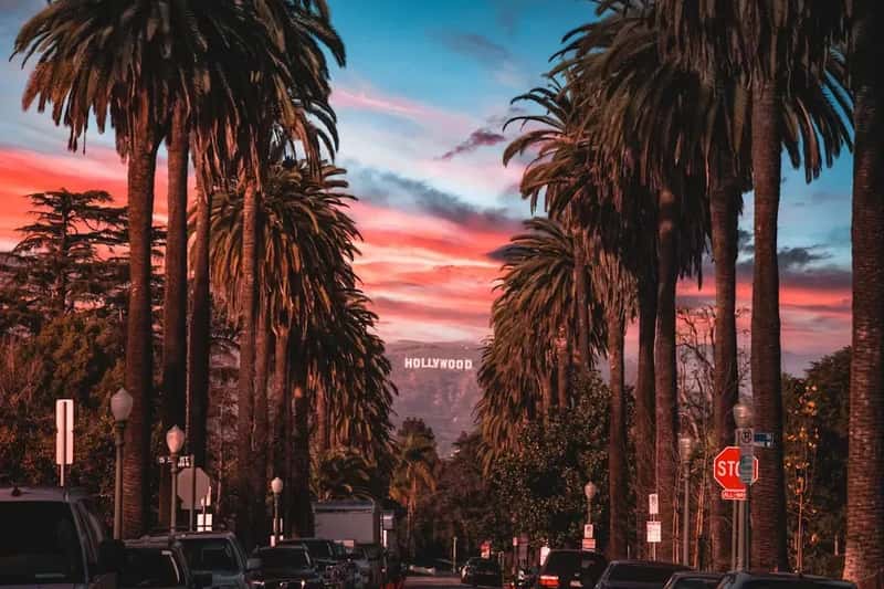 8. Los Angeles, California: The City That Has Everything but Keeps Losing People (Image Credits: Unsplash)