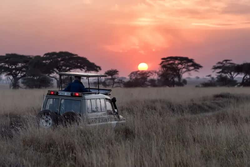 8. Tanzania - Wildlife, Culture, and Genuine Safety in East Africa (Image Credits: Unsplash)