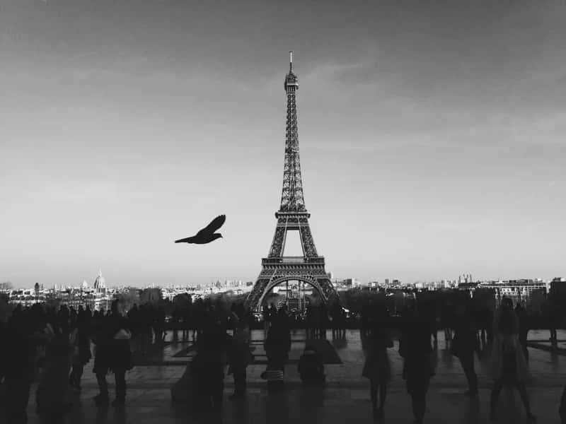 The Language Barrier and the "Rudeness" Problem (Image Credits: Rawpixel)