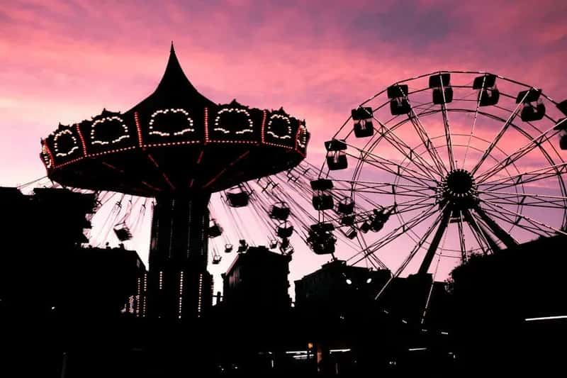 The Bottom Line: Magic Doesn't Have to Cost $200 a Day (Image Credits: Pexels)