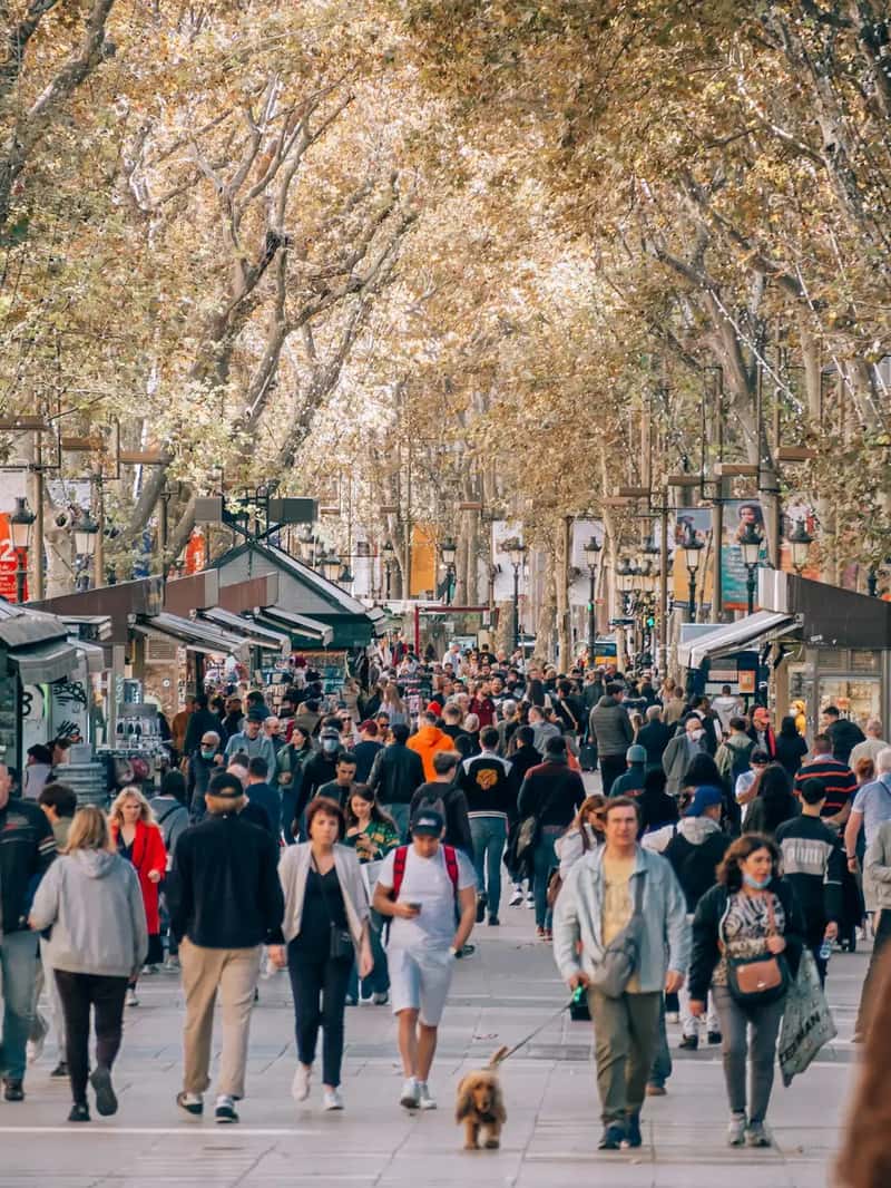 Barcelona's Las Ramblas and the Gothic Quarter (Image Credits: Unsplash)