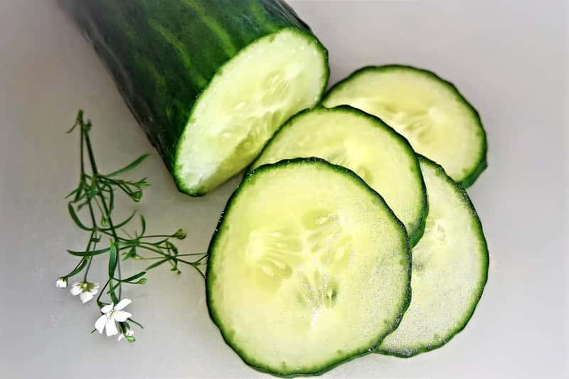 3. Cucumber and celery (Image Credits: Pixabay)