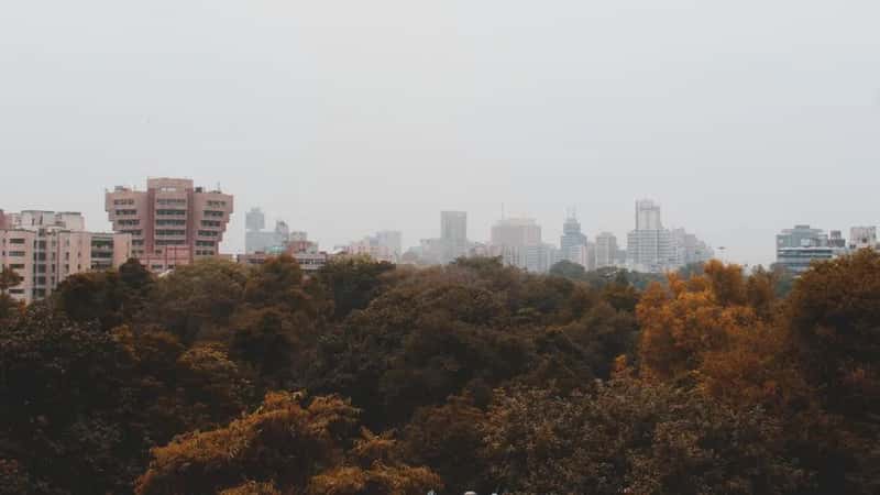 The Air You Breathe Isn't Always Kind (Image Credits: Pexels)
