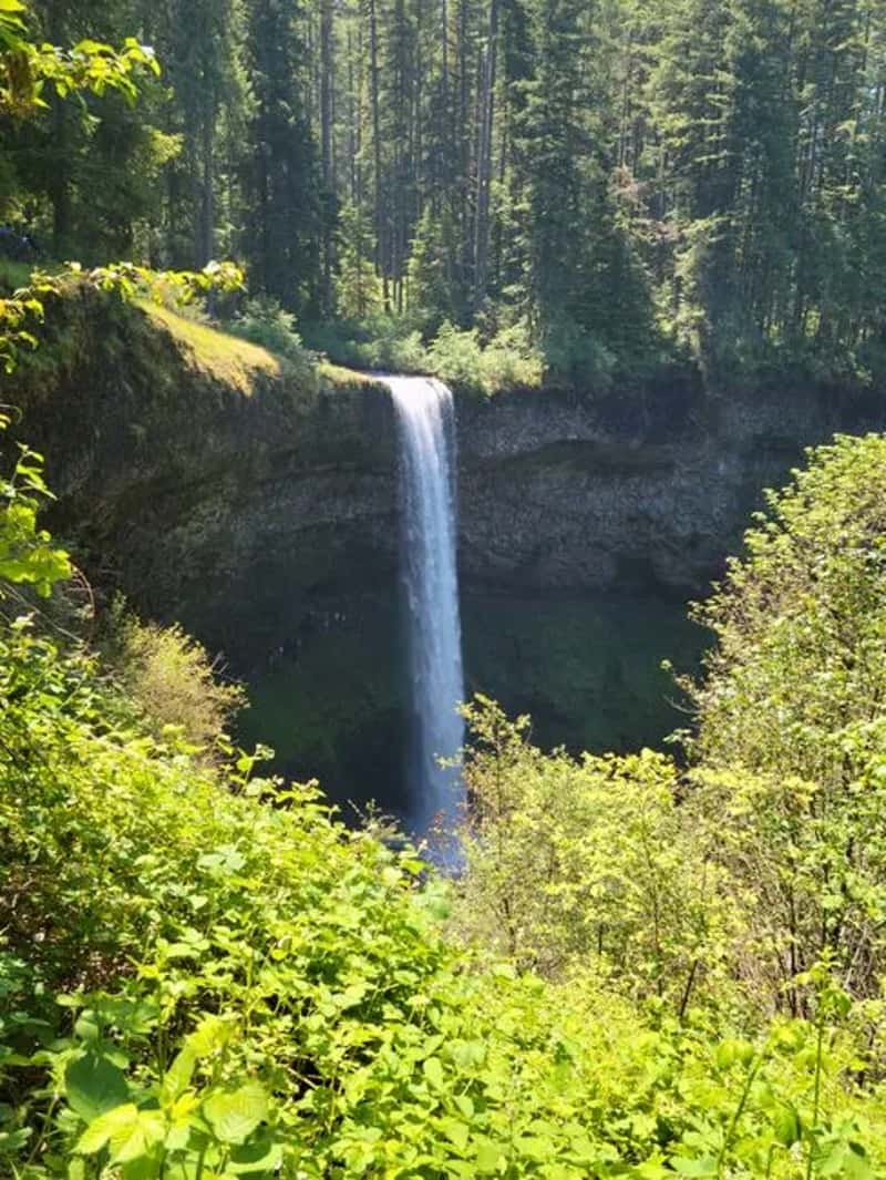 5. Oregon: Silver Falls State Park (Image Credits: Pexels)
