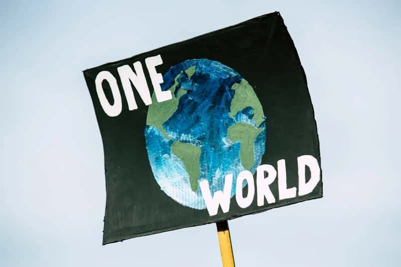 12. Purchasing carbon offset packages tied to private travel (Image Credits: Unsplash)