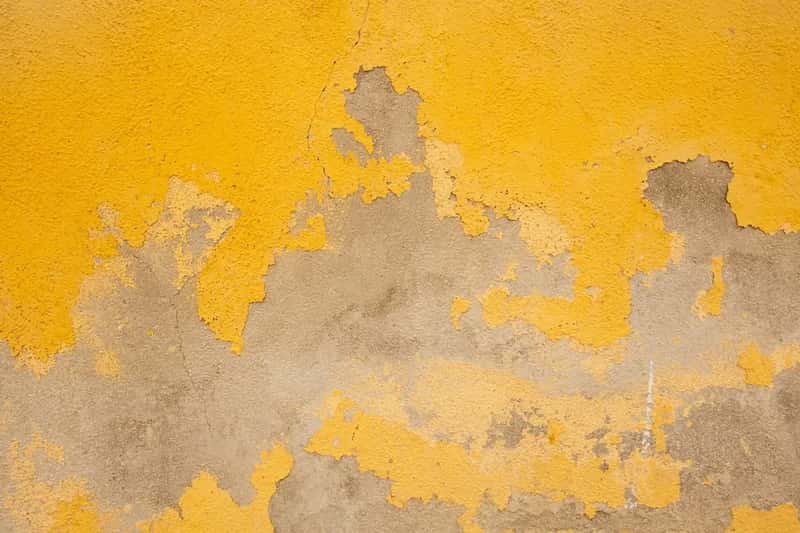 #5 - Shiplap Walls on Everything (Image Credits: Unsplash)