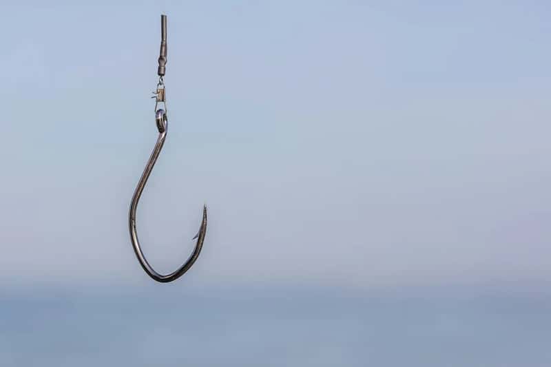 6. "I'll just carry the fishing hooks, they're harmless" (Image Credits: Unsplash)