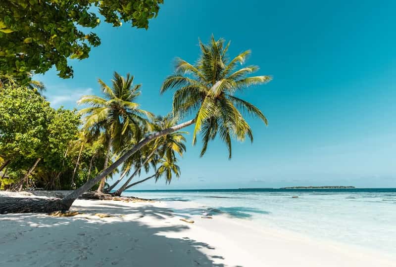 Playa San Miguel - six kilometers of near-empty sand (Image Credits: Unsplash)