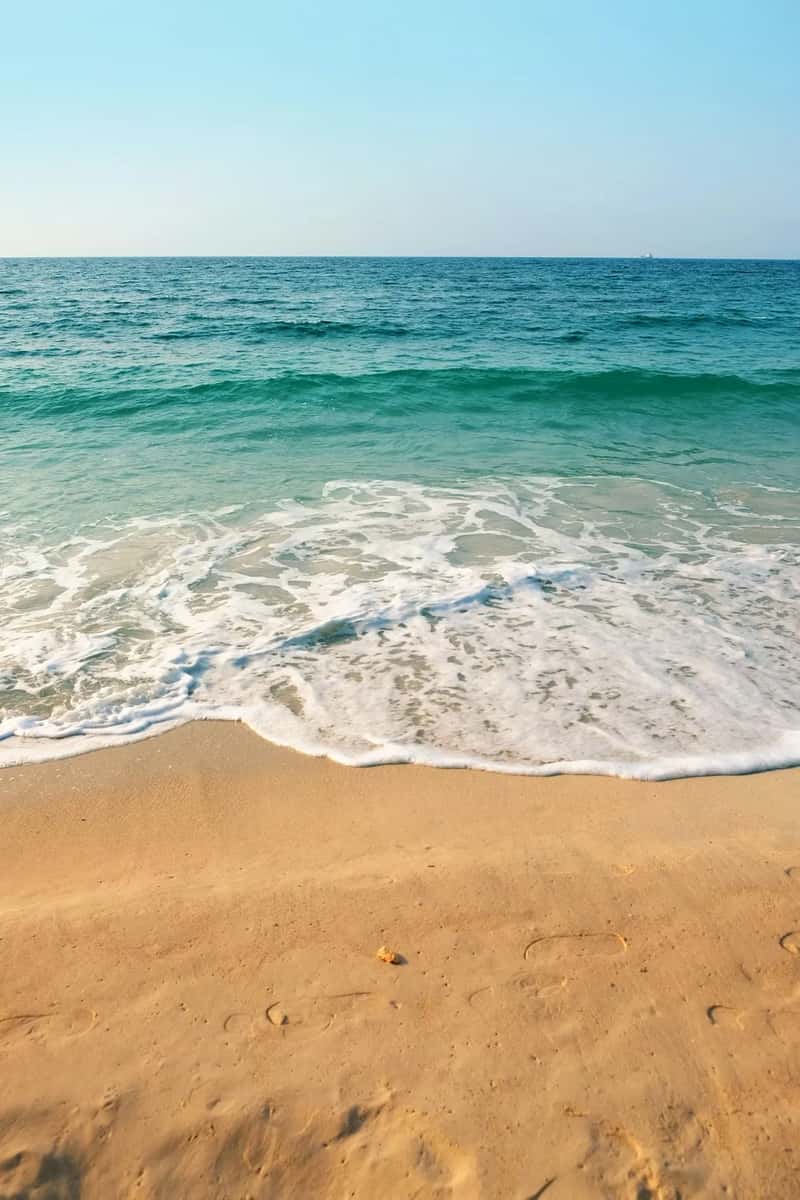 7. Taking sand, shells, or stones as souvenirs (Image Credits: Unsplash)