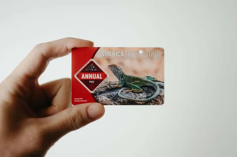 #5 - Paying Individual Entry Fees Instead of Getting the Annual Pass (Image Credits: Unsplash)