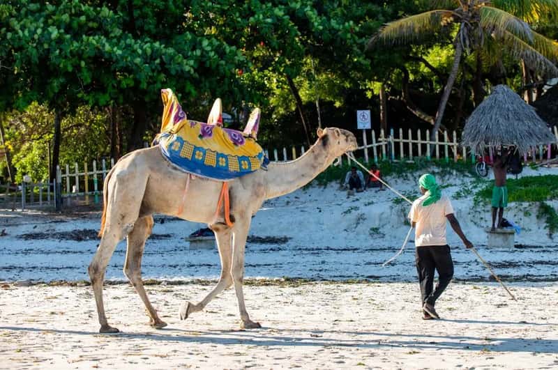 5. Mombasa, Kenya (Image Credits: Pexels)