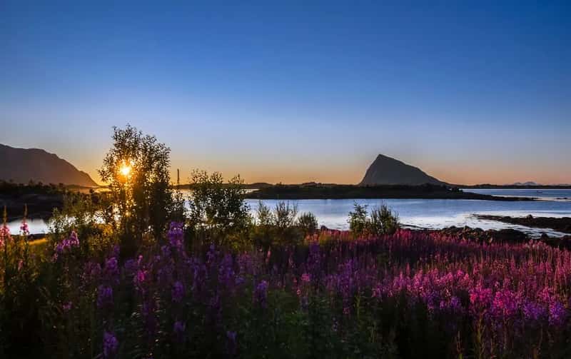 Visiting during the light season (Image Credits: Pexels)