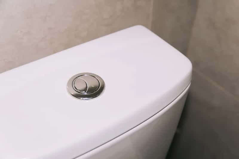 4. Toilets Flush in Opposite Directions Depending on the Hemisphere (Image Credits: Pexels)